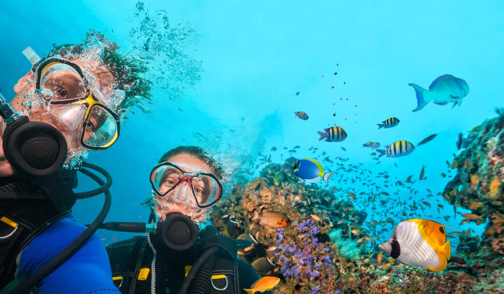 Pareja haciendo buceo en el mar rodeados de peces de colores.